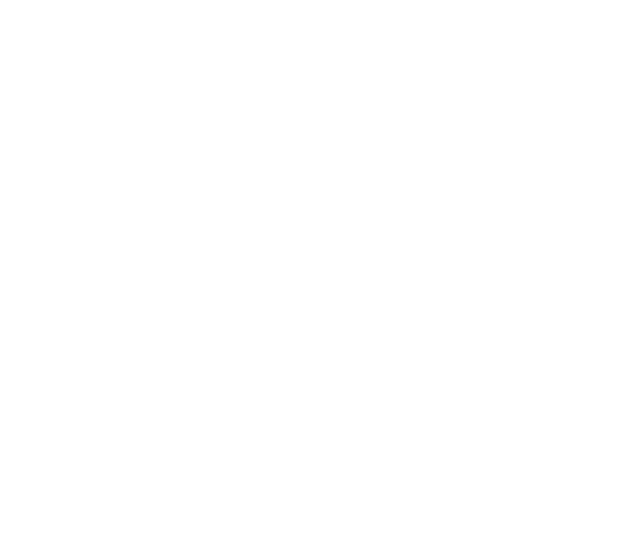 Rogue Flamingo Exteriors logo